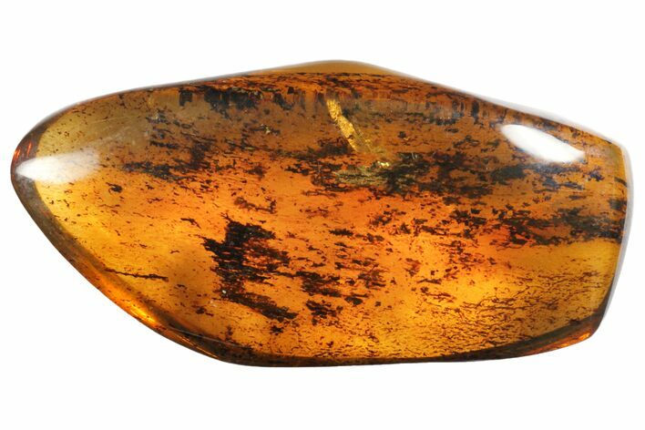 Polished Chiapas Amber ( g) - Mexico #114890